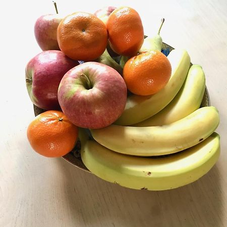 ZoelenDe Oude Kleuterschool别墅 外观 照片
